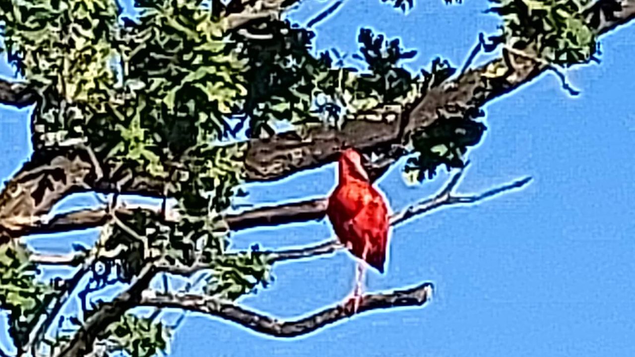 Foto: Karin Gielens.