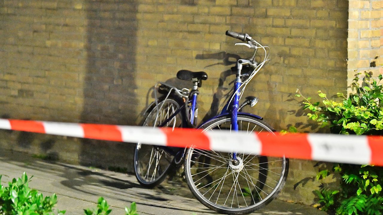 Foto: Rico Vogels/SQ Vision. 