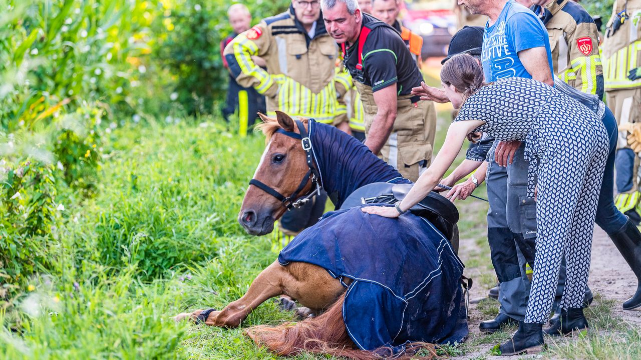 Foto: Jack Brekelmans/SQ Vision. 