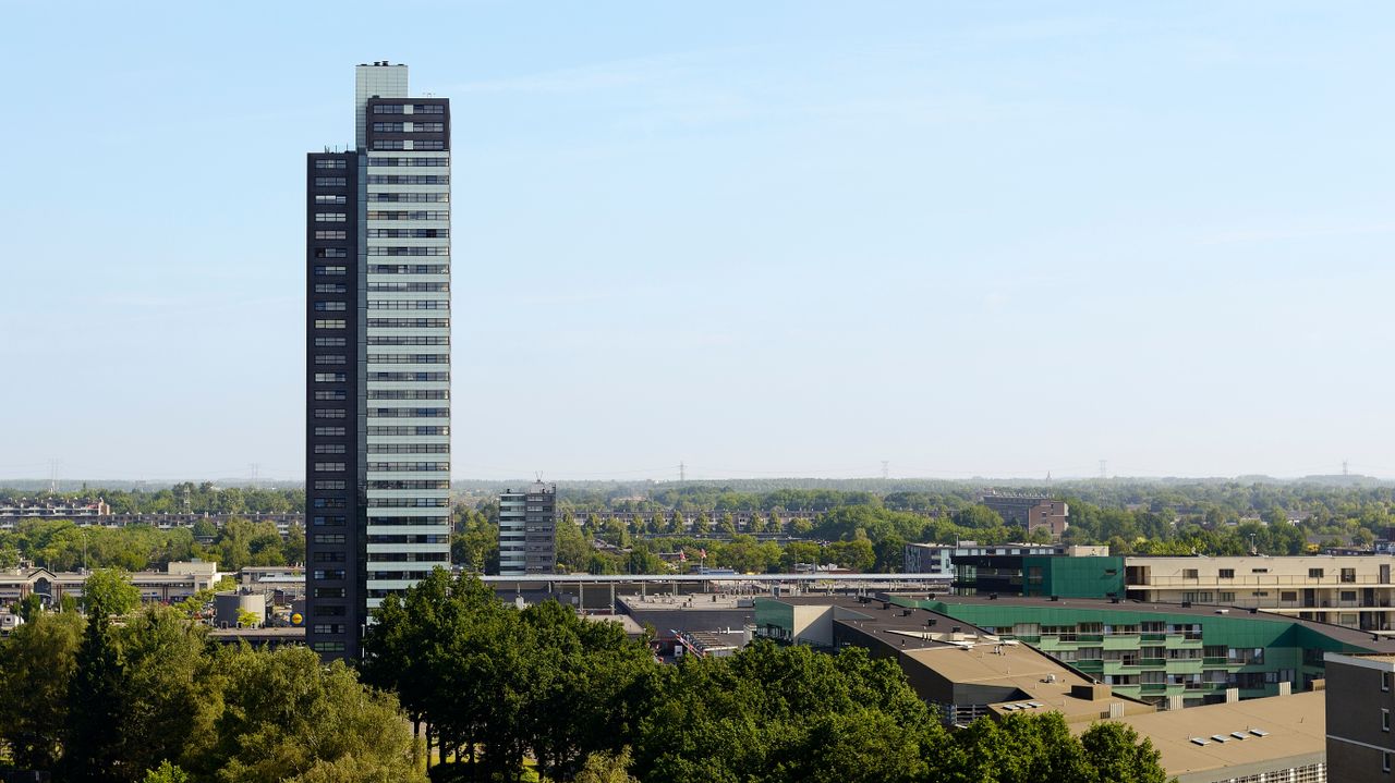 Porthos in Eindhoven (foto: Bart van Overbeeke / Hollandse Hoogte)