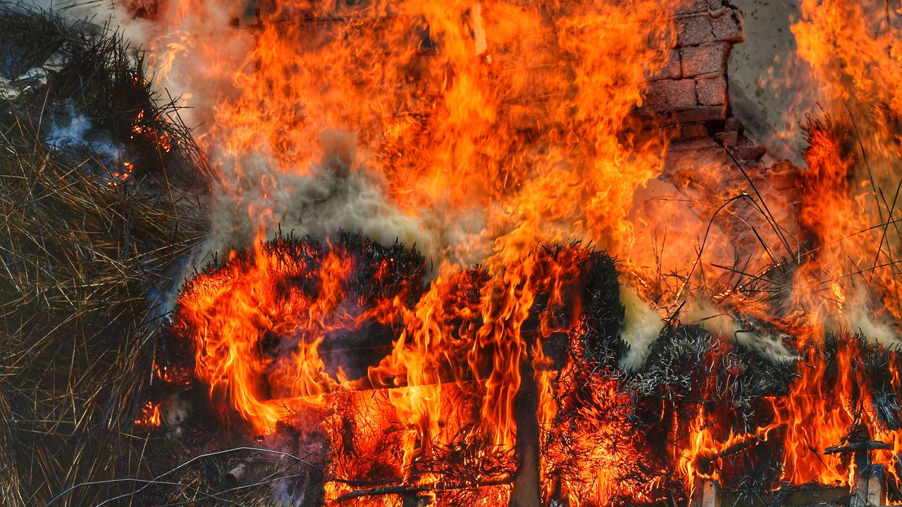 Foto: Rico Vogels/SQ Vision.