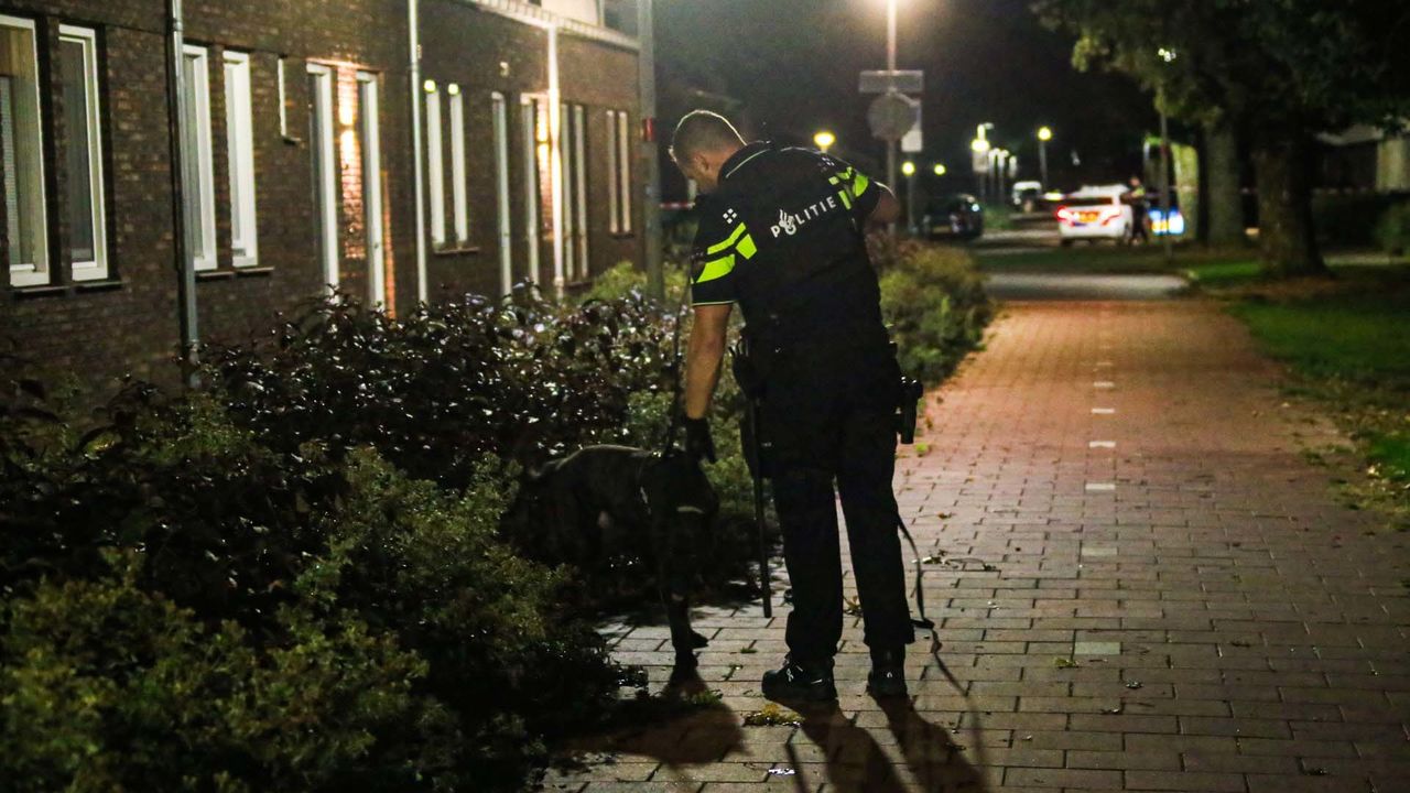 Foto: Harrie Grijseels/SQ Vision