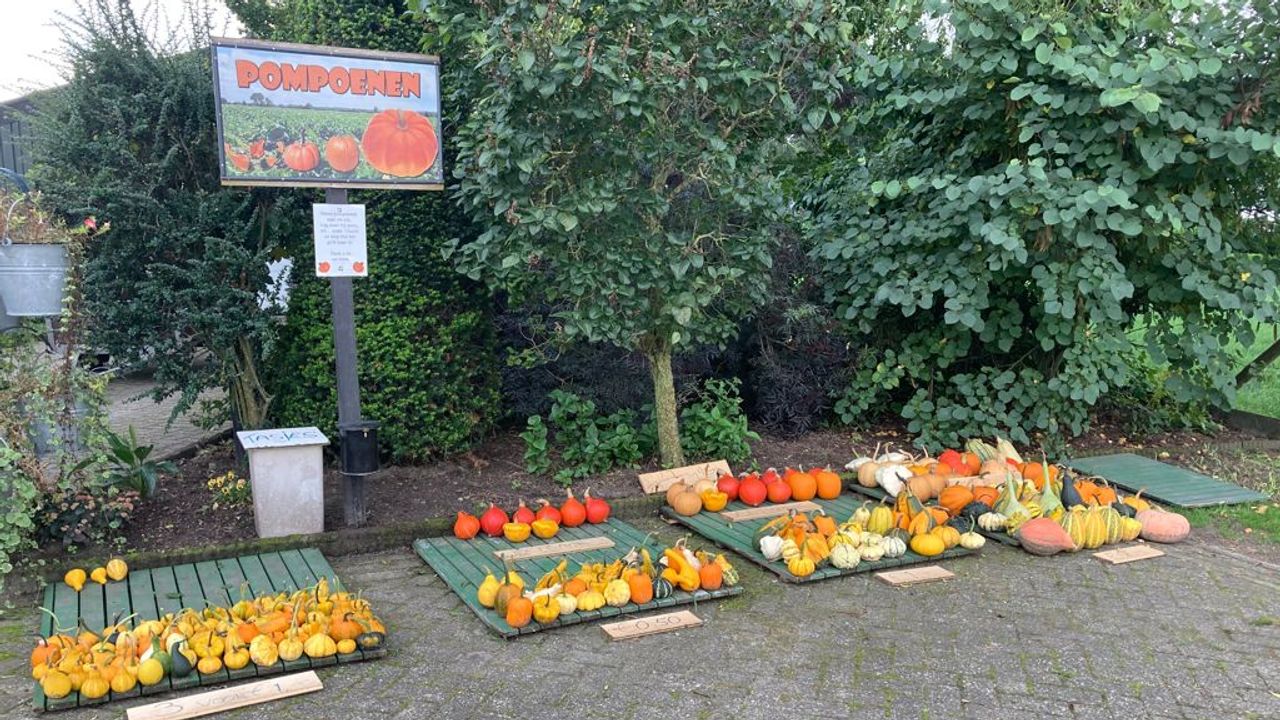 Foto: familie Haagen.