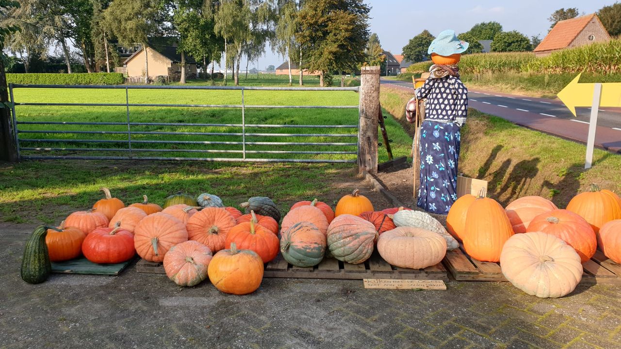 Foto: familie Haagen.