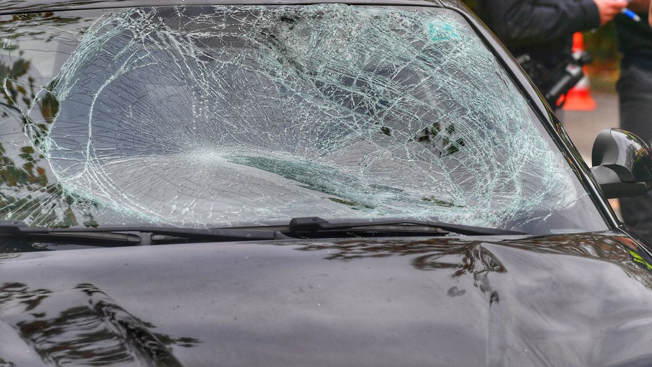 Foto: Rico Vogels/SQ Vision