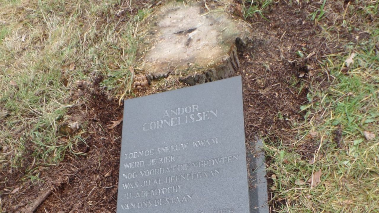 Andor overleed op tweejarige leeftijd (foto: Edo Cornelissen).