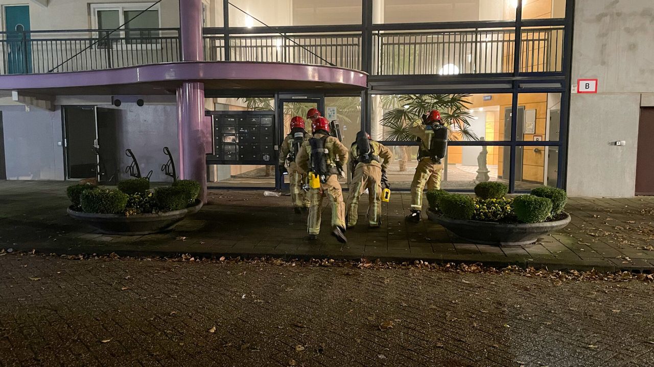 Foto: Harrie Grijseels/SQ Vision 