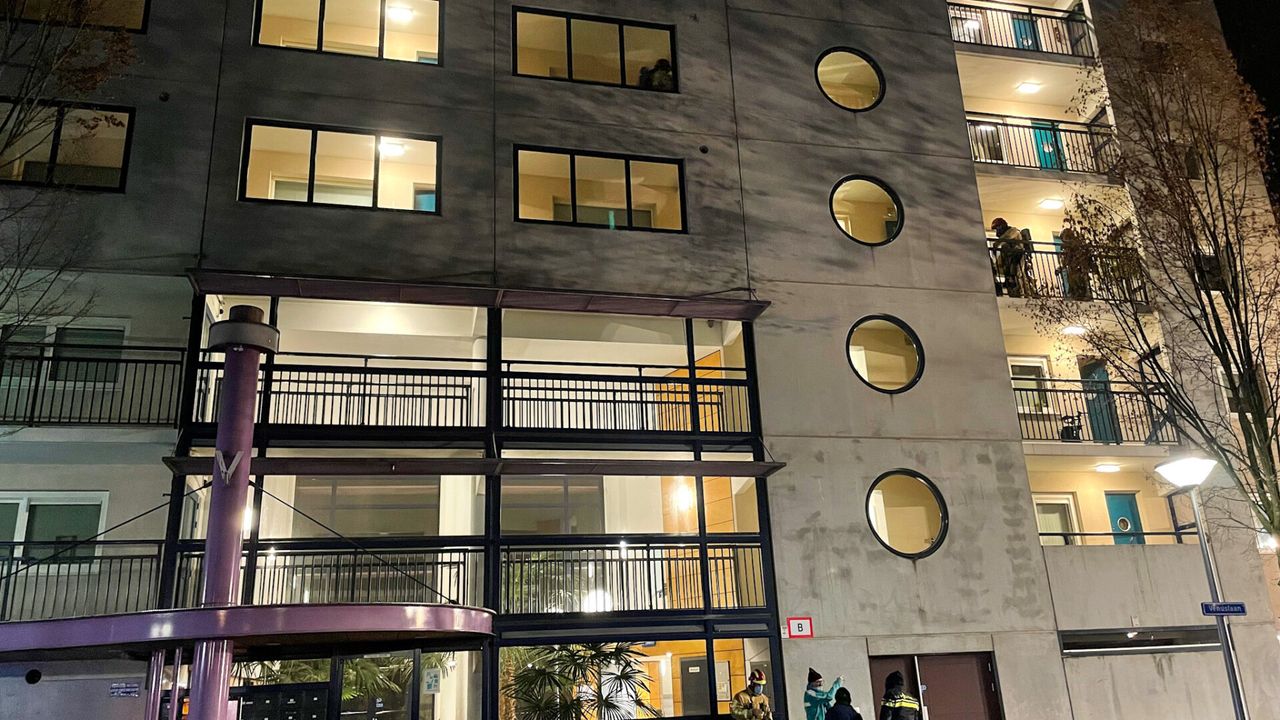 Foto: Harrie Grijseels/SQ Vision 