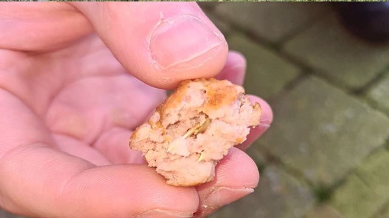Gehaktballetjes met spijkers in Rijsbergen