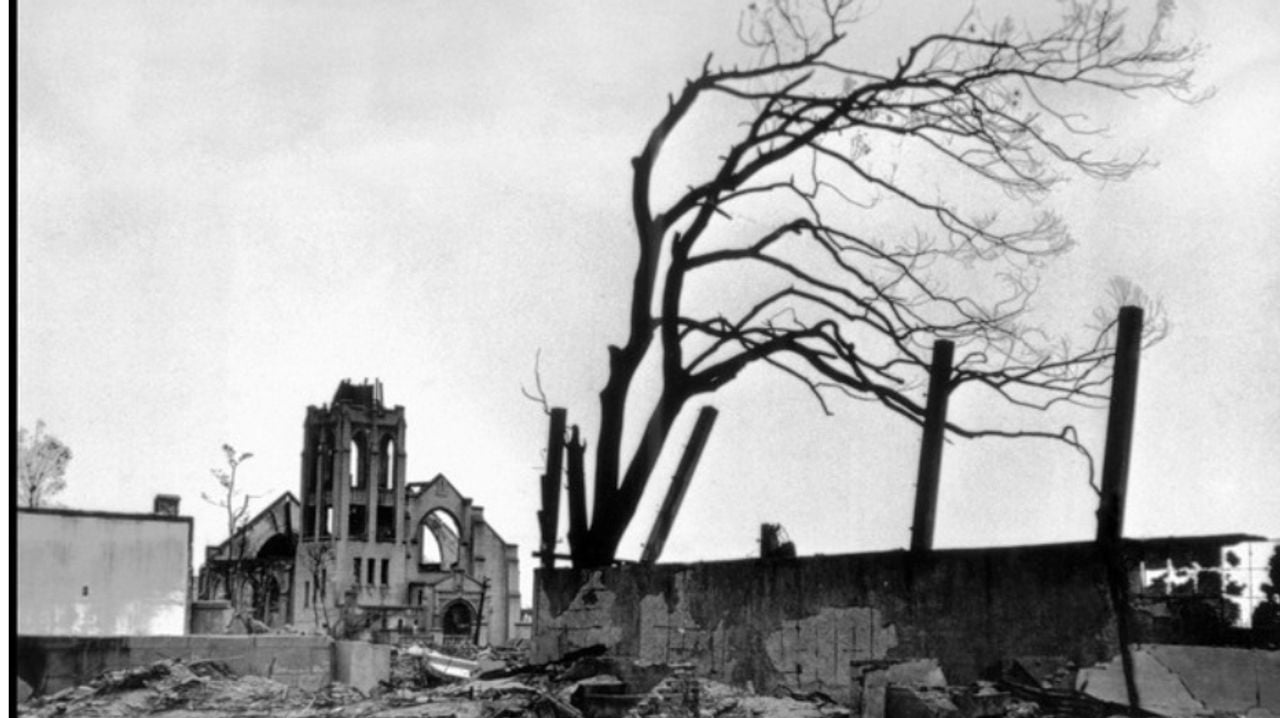 De Ginkgo Biloba oftewel Japanse Notenboom na de atoombomaanval in Hiroshima (foto: Green Legacy Hiroshima).