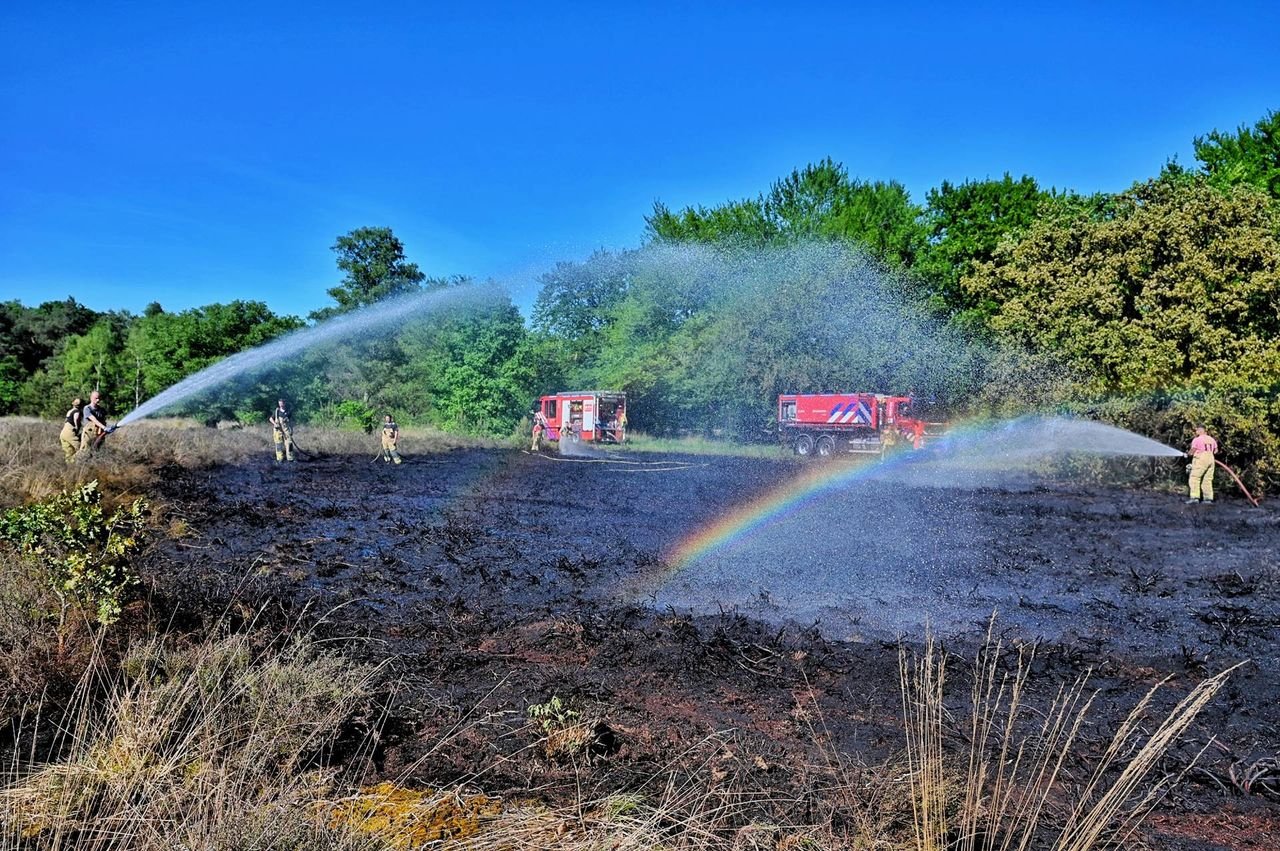 Foto: Toby de Kort/Persbureau Heitink.