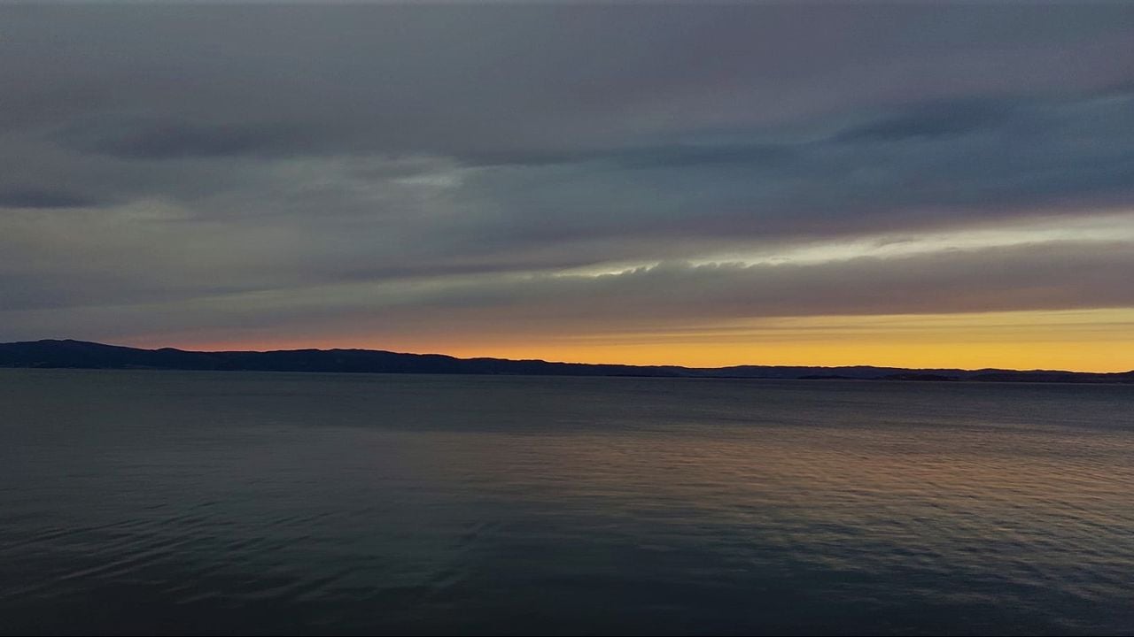 Het uitzicht vanuit de trein