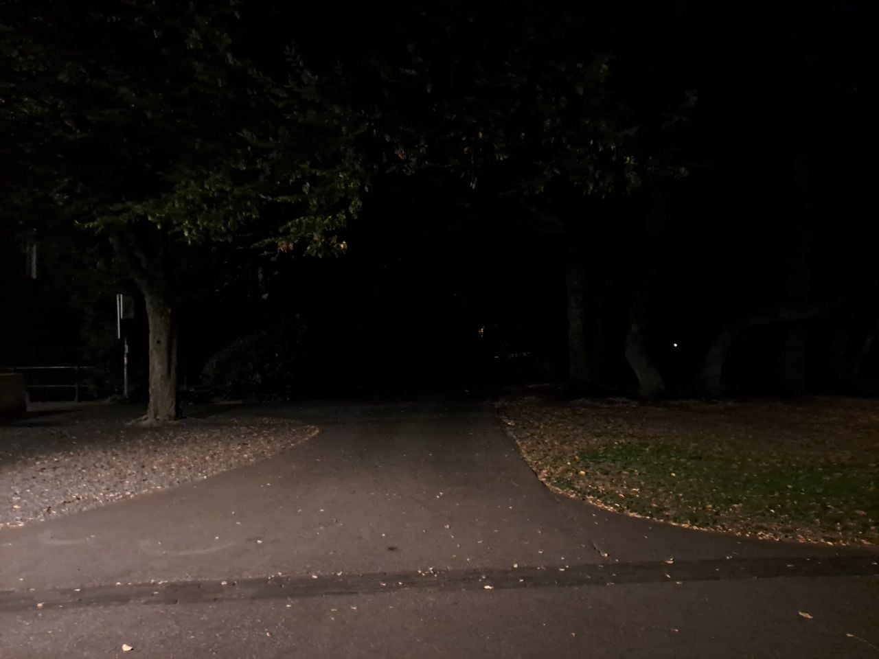 Een van de zijwegen in het Valkenbergpark.