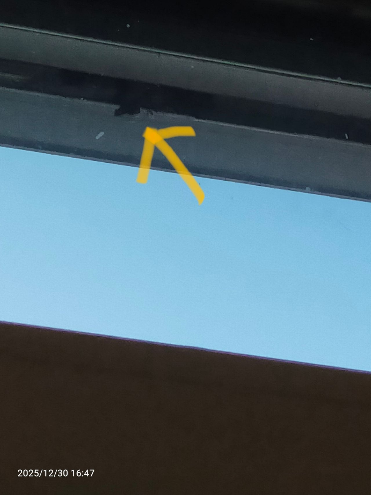 De mussen schuilen in het zonnescherm van Netty (foto: Netty Schalk).