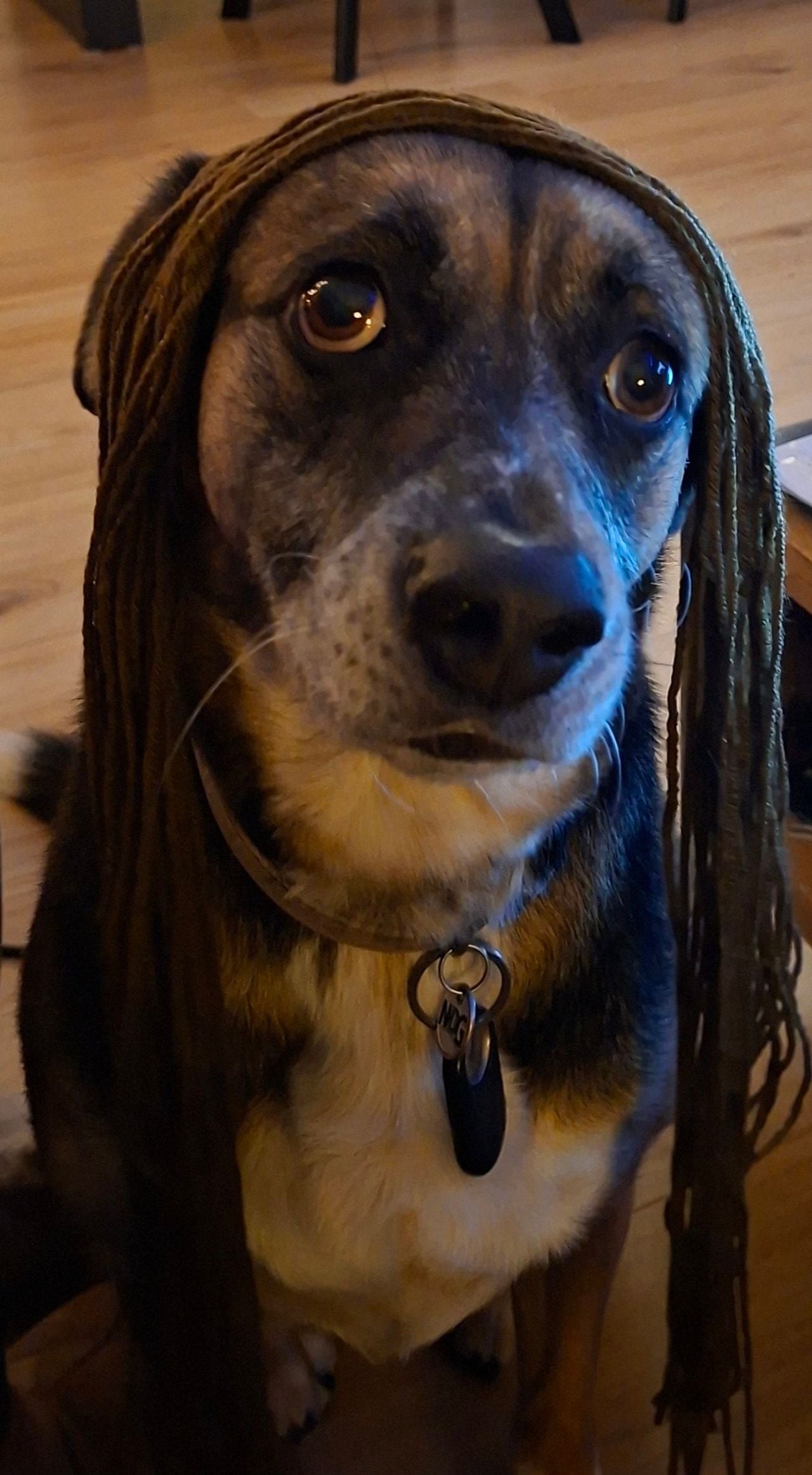 Foto: Lieske van Z/Facebook