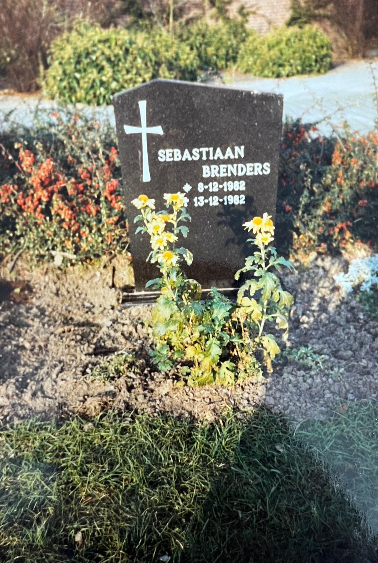 Het graf van Sebastiaan in Made. (foto: privéarchief Riet).