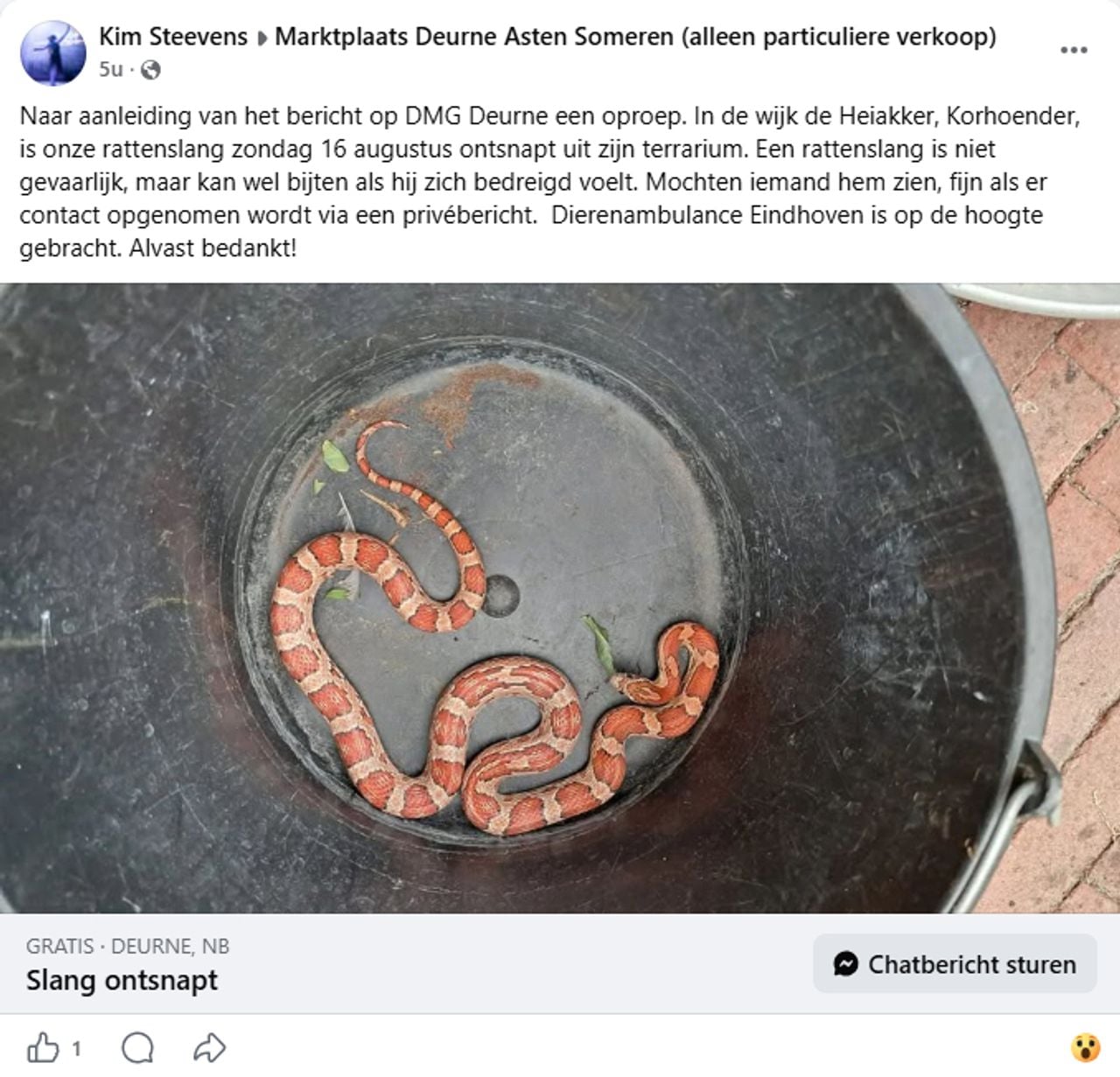 Kim Steevens roept mensen op om contact op te nemen als ze de slang vinden (foto: Facebook Kim Steevens).
