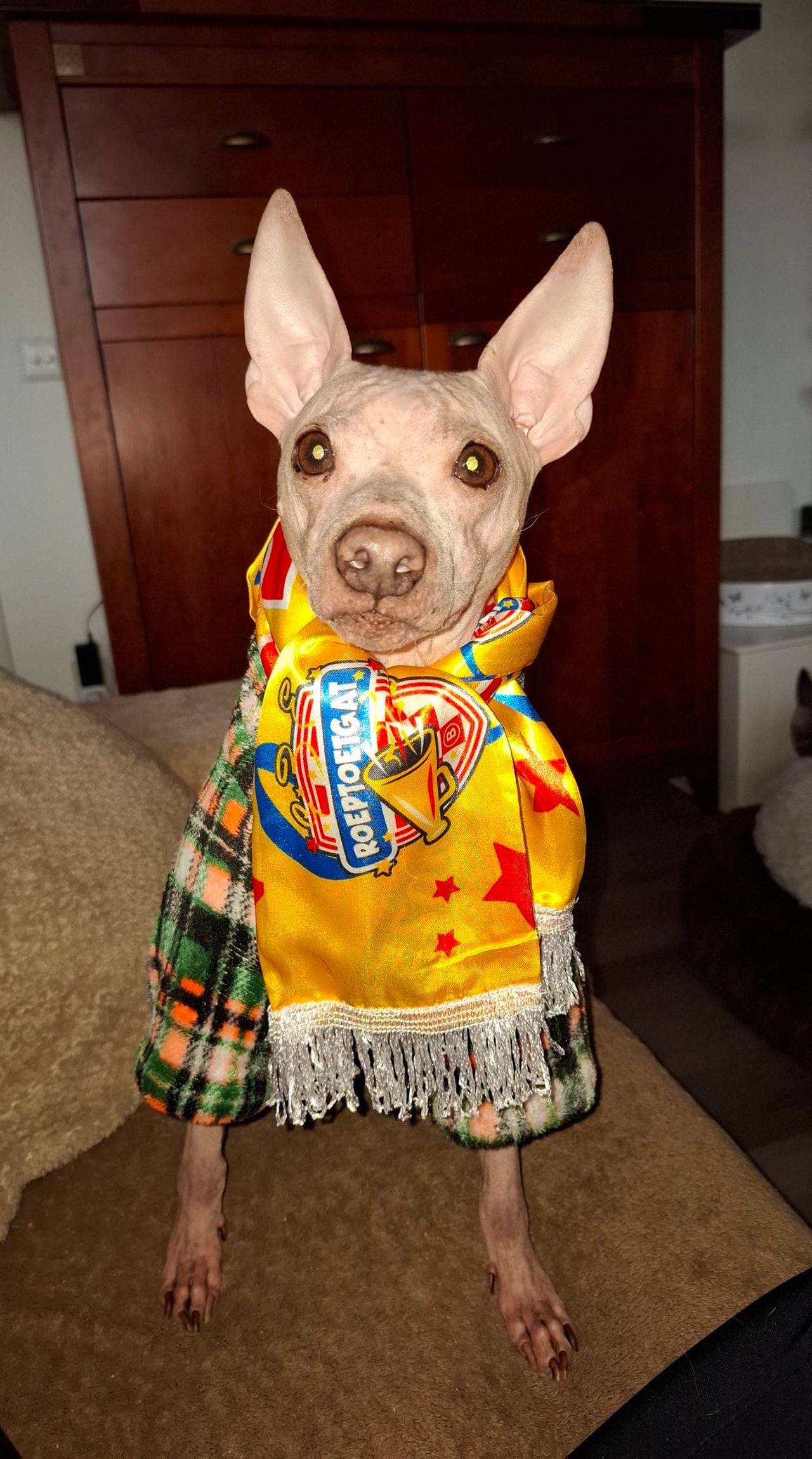 Foto: Hestia Hofstede/Facebook