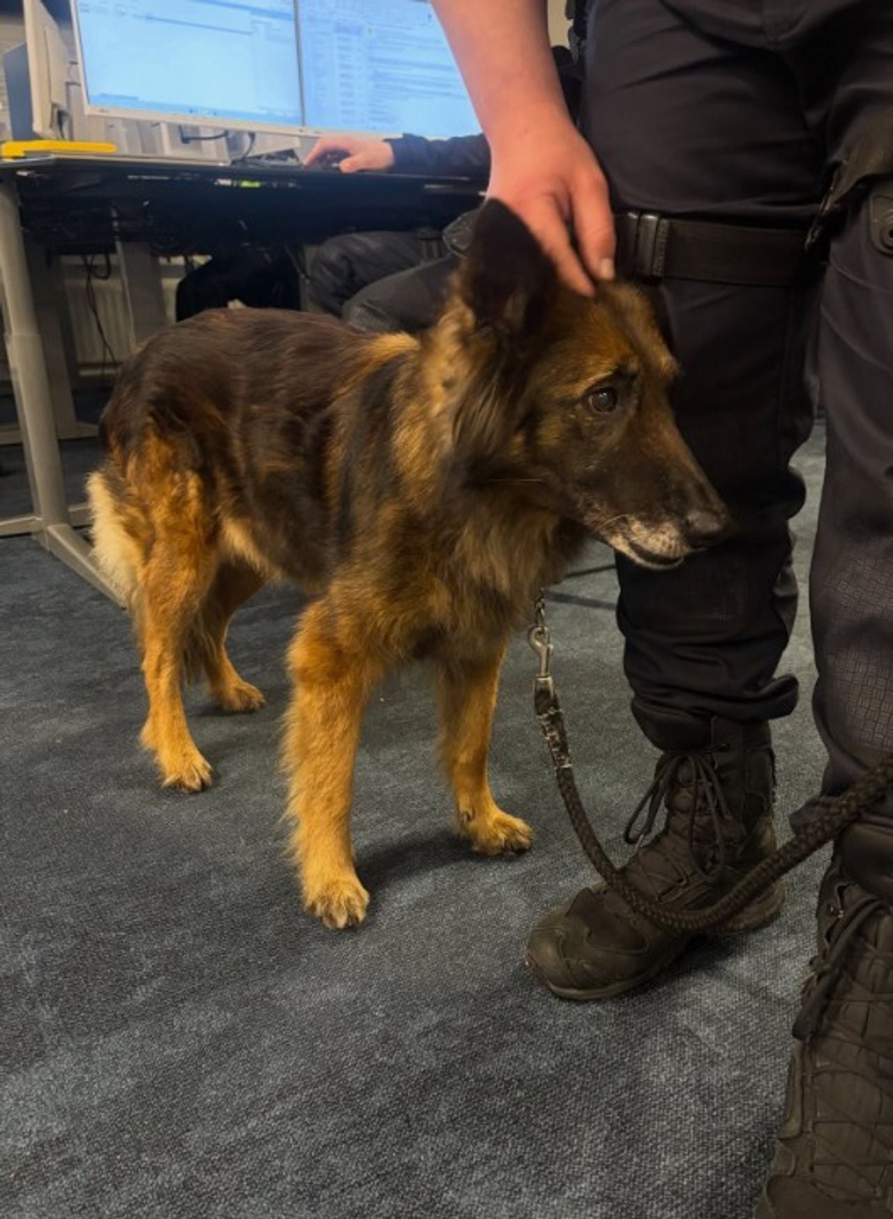 Foto: Instagram politie digitaal Eindhoven.