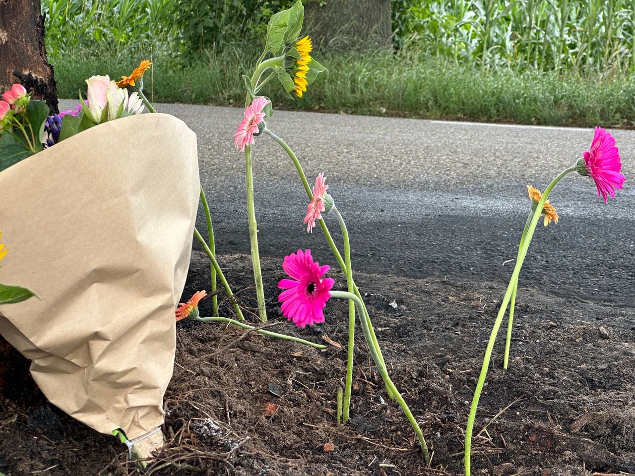 Bloemen bij plek ongeluk Boekelsedijk Zeeland (foto: Floortje Steigenga).)