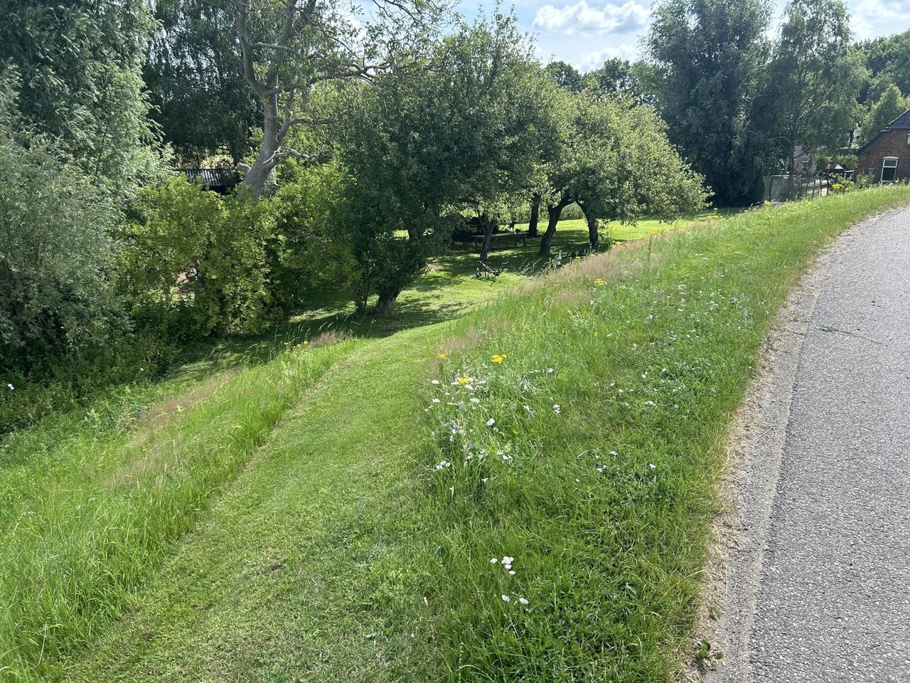 Het graspaadje naar de plek waar de boerderij stond (foto: Maarten Kortlever).