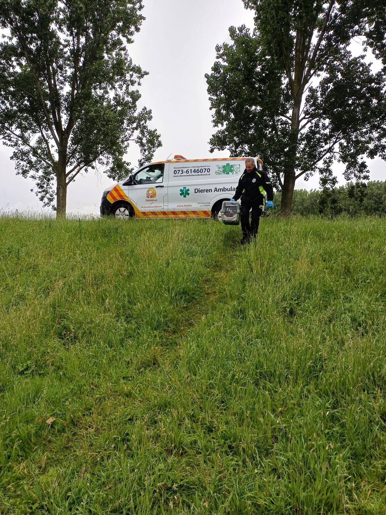 Het eendengezinnetje werd gevangen en een stukje verder, in een brede plas, weer losgelaten (foto: Facebook dierenambulance Den Bosch). 
