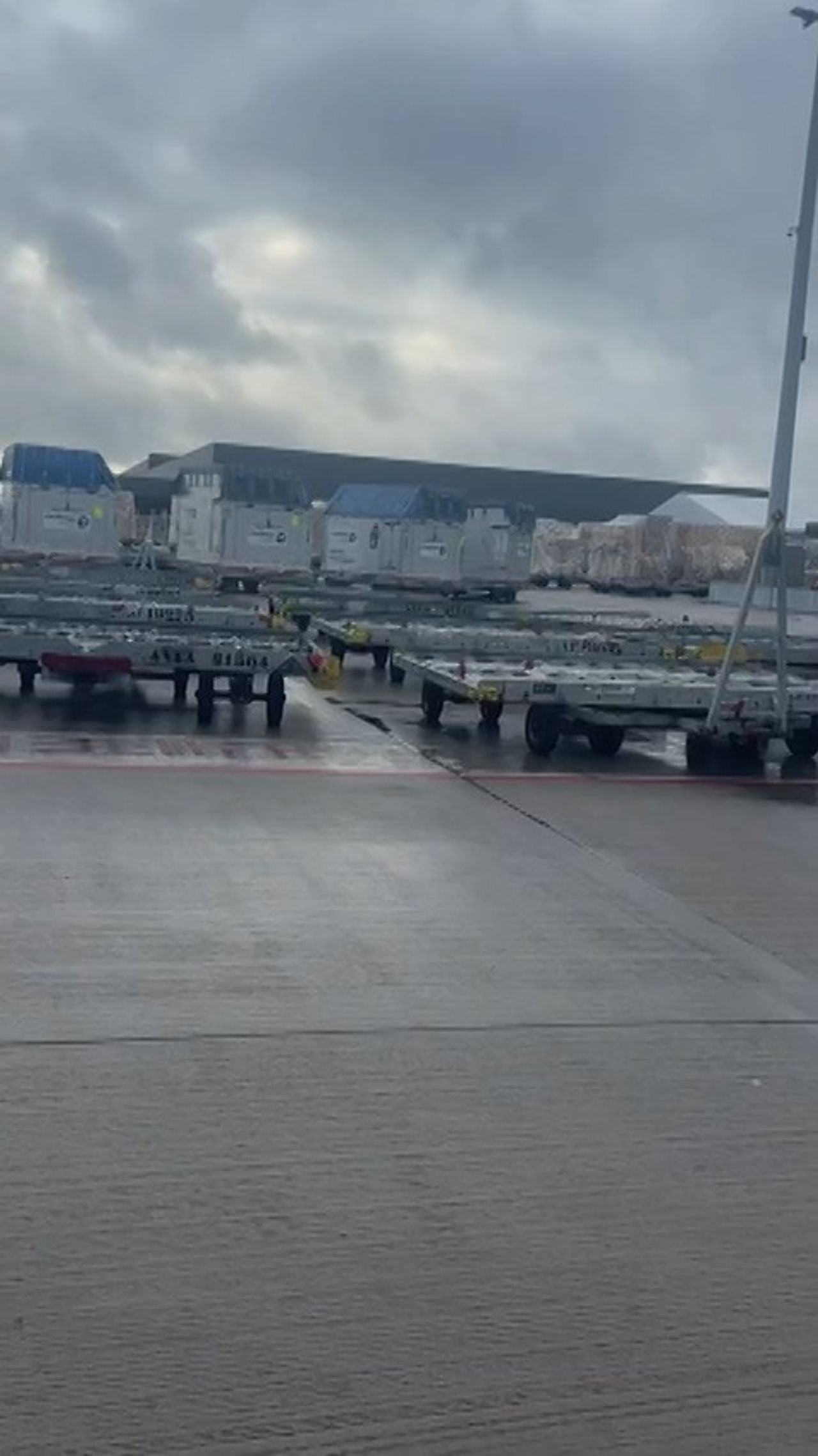 De ezels kwamen in kratten aan op het vliegveld in Luik (foto: Het Ezelpaleis).