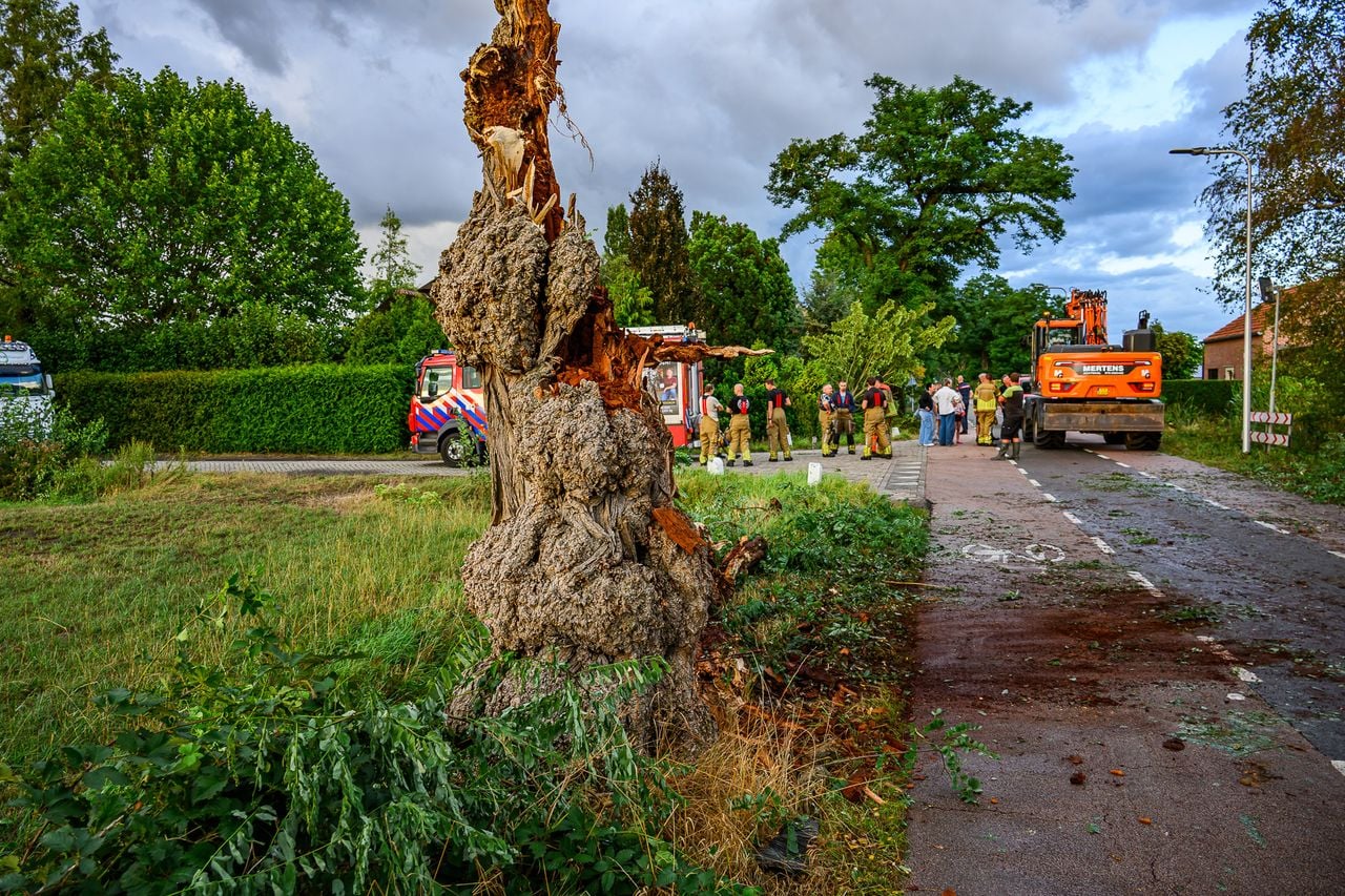 De bomen lagen een tijd lang op de weg (foto: Tom van der Put / Persbureau Heitink).