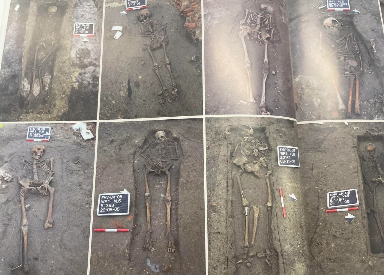 Enkele geprepareerde skeletten die zien opgegraven bij de Catharinakerk (foto: 'Een knekelveld maakt geschiedenis').