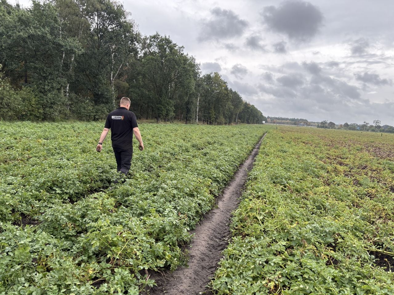 Het bedrijf teelt aardappels op zo'n 170 percelen landbouwgrond (foto: Karin Kamp).