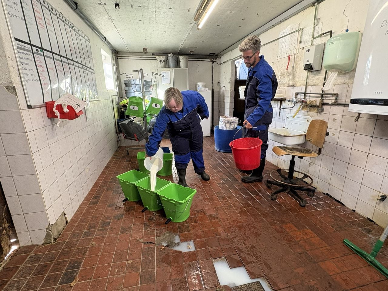 Lotte maakt samen met haar begeleider de melk voor de kalfjes (foto: Karin Kamp).