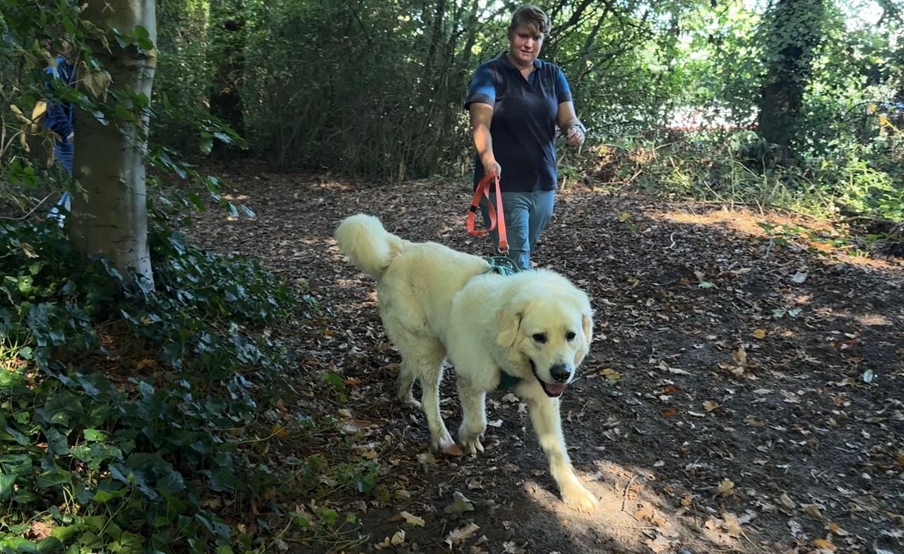 Sabine is Loekie aan het trainen