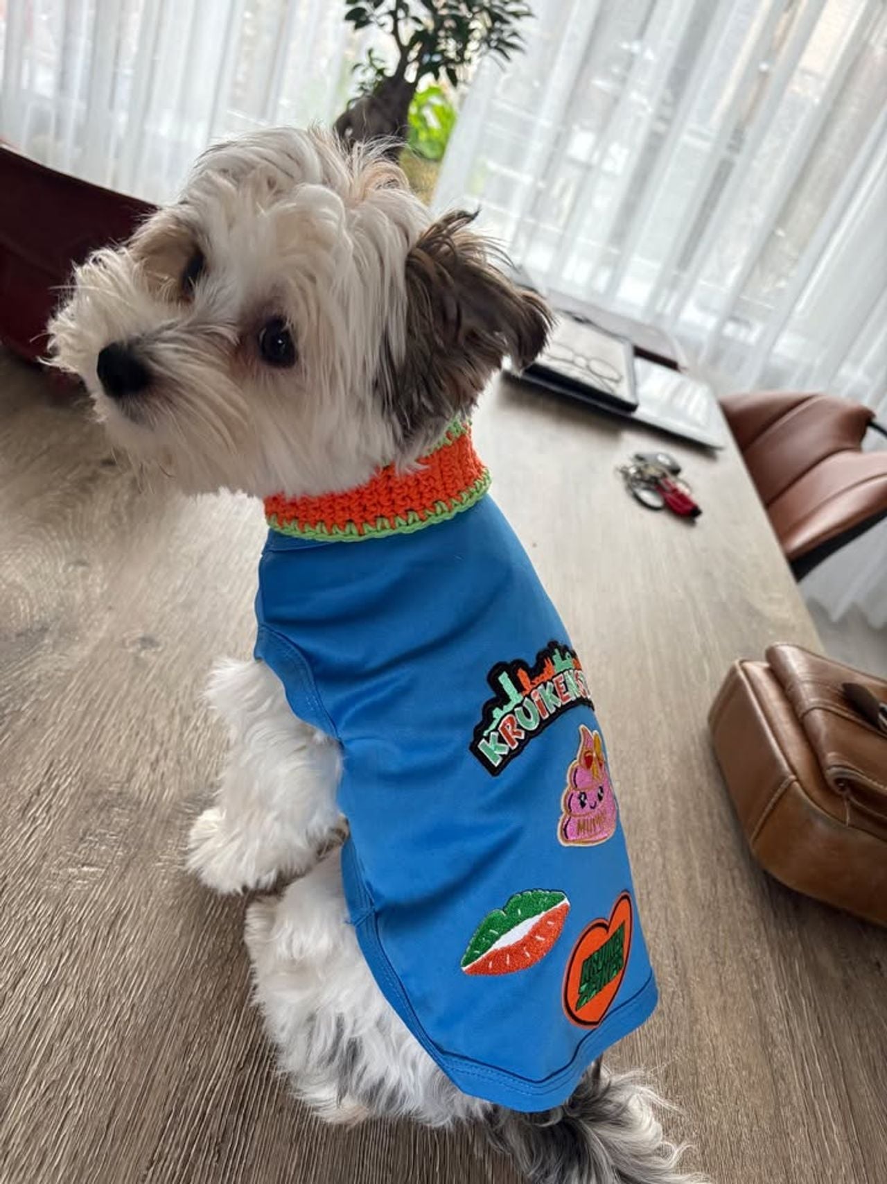 Roosje vierde carnaval (foto: Hannie Schoenmakers-Schellekens).