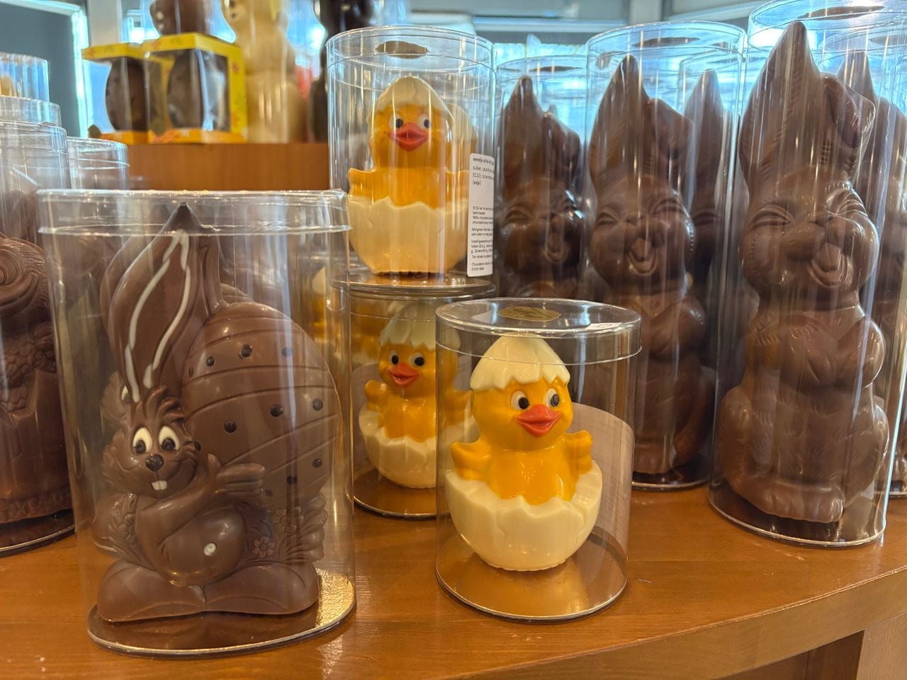 Veel kleur past helemaal bij Pasen en het voorjaar, vindt Albèrt (foto: Wilco Zonneveld).