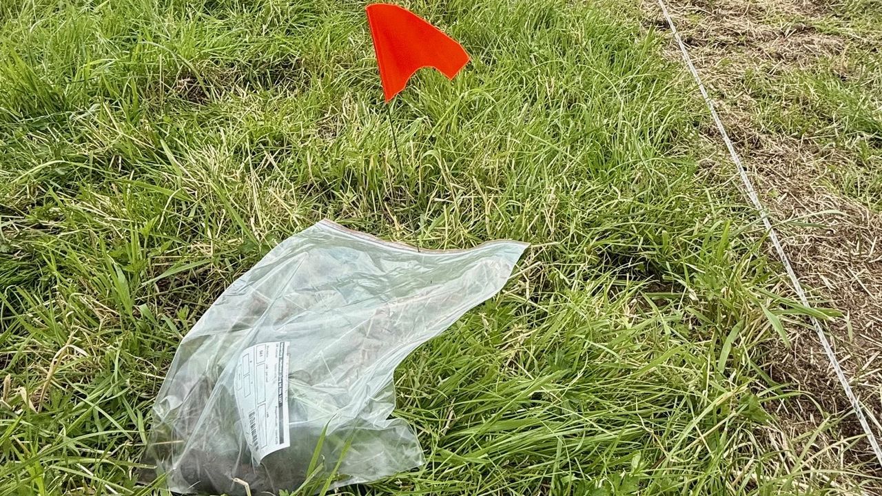 Vondsten worden gemarkeerd met een oranje vlag en de coördinaten  -  NOS