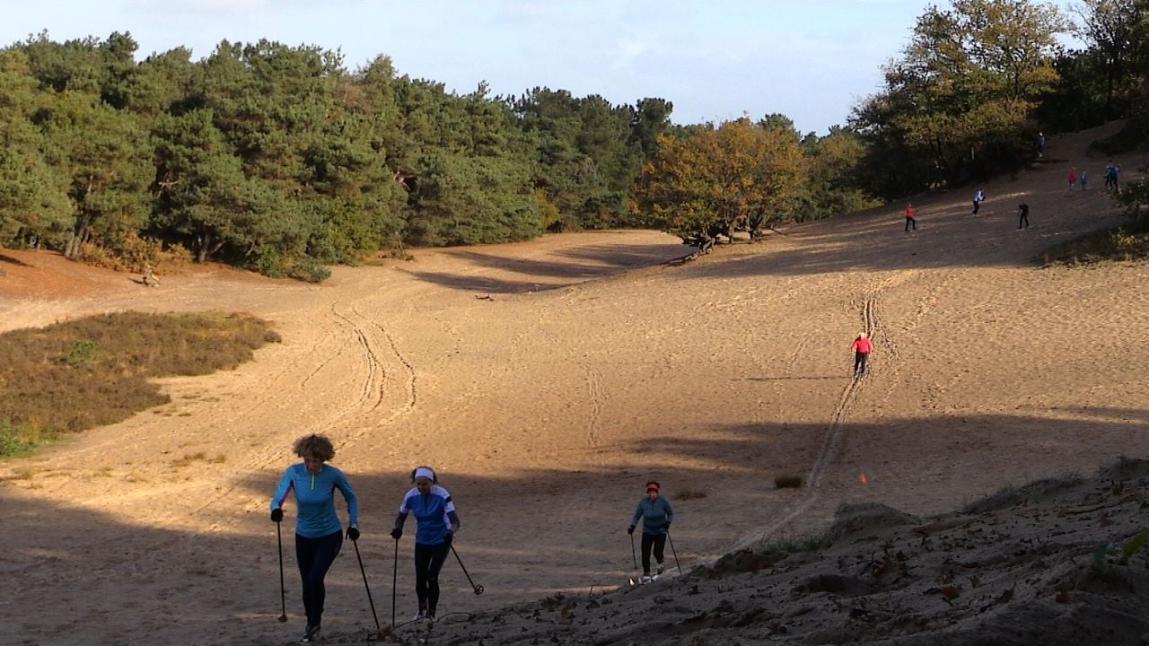 In de duinen van de Bedafse bergen bij Uden kan het hele jaar door worden gelanglaufd. Vrijdag kan het eindelijk in de sneeuw (foto: Omroep Brabant)