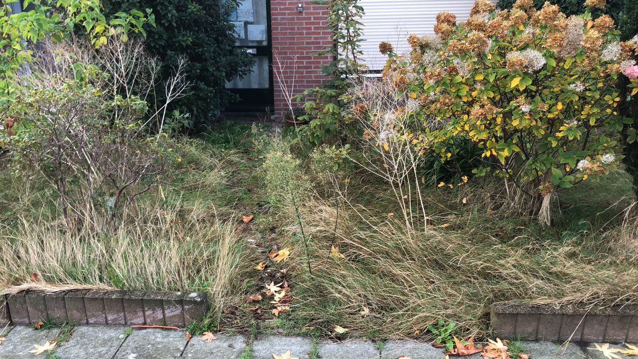 Het paadje naar haar voordeur (foto: Willem-Jan Joachems)