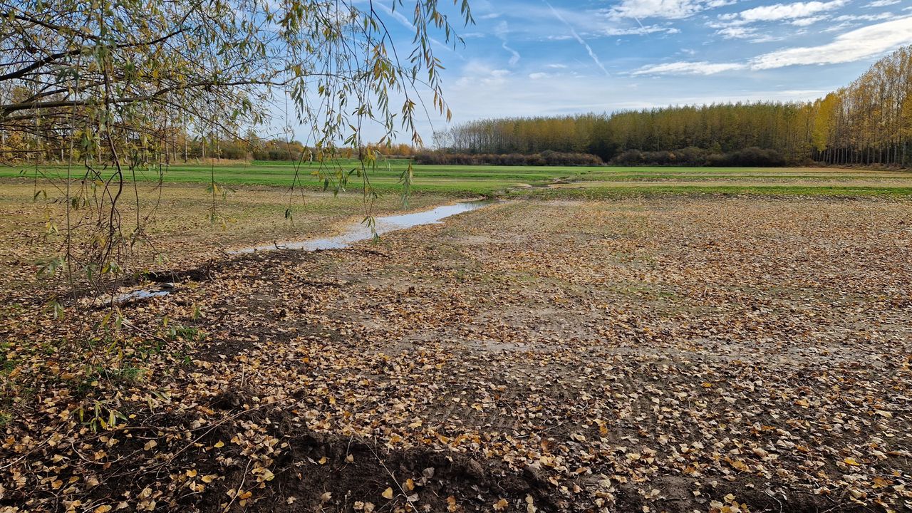 Een van de percelen waar twintig tot dertig centimeter grond is weggehaald (foto: Tom Berkers).