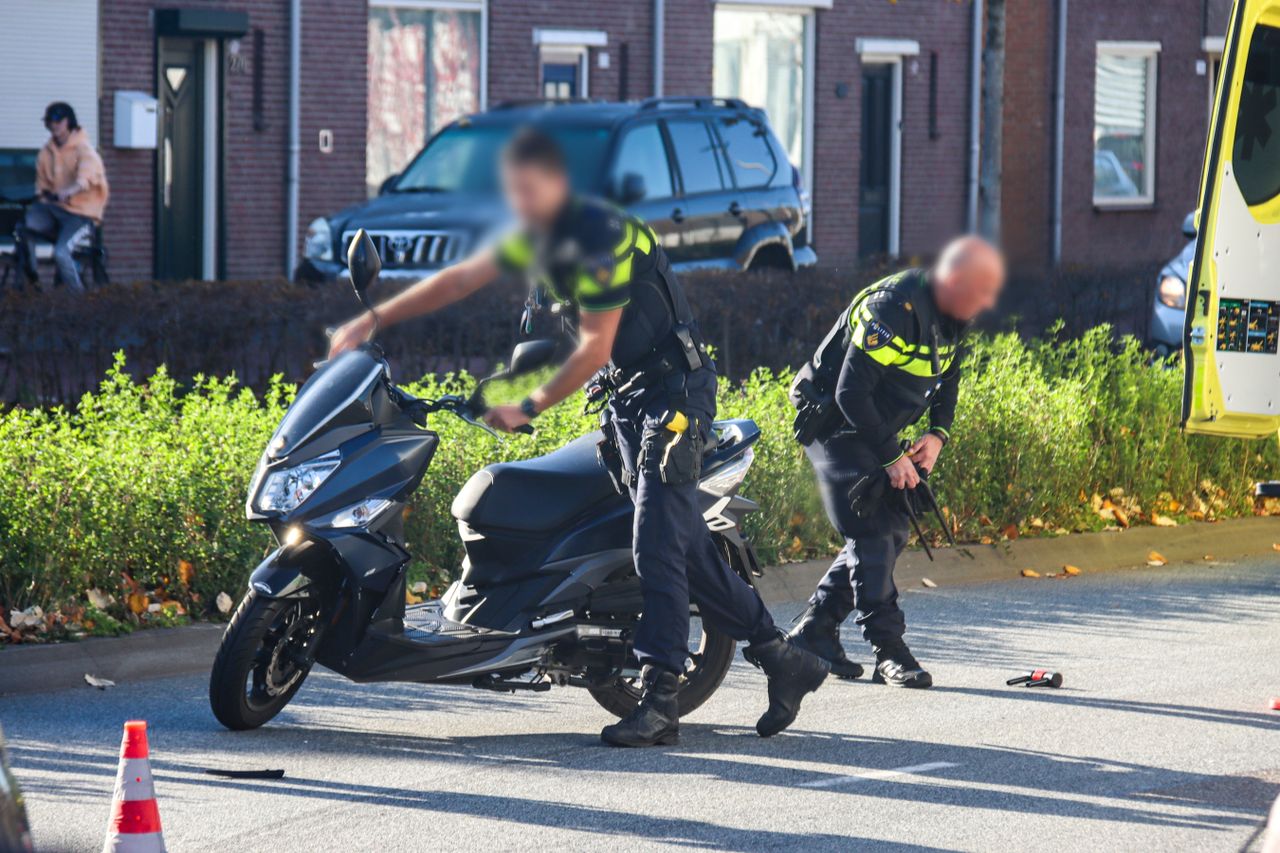 (Foto: Corrado Franke.)