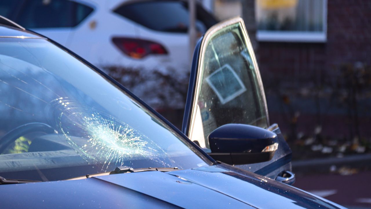 (Foto: Corrado Franke.)