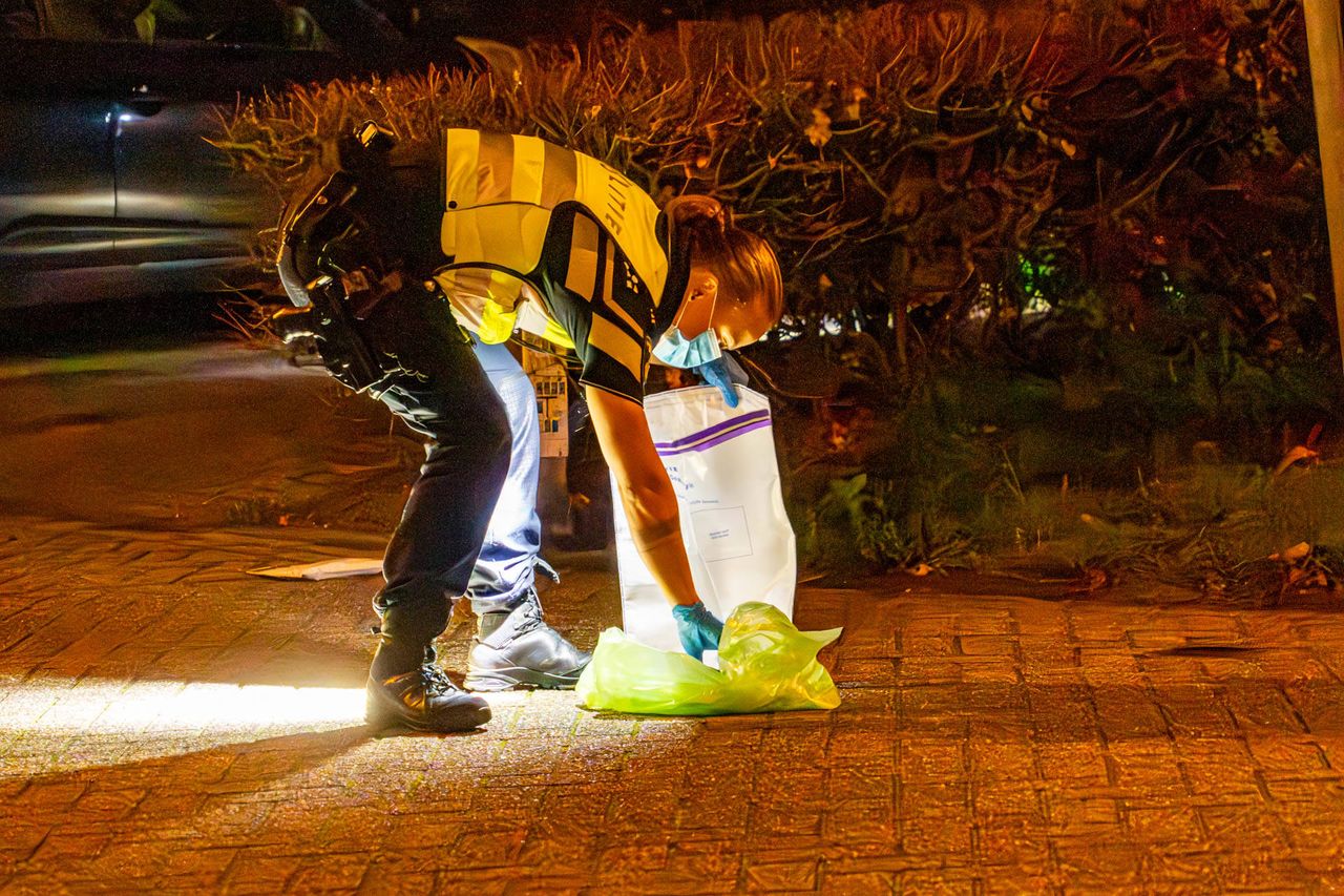 Foto: Harrie Grijseels / Persbureau Heitink