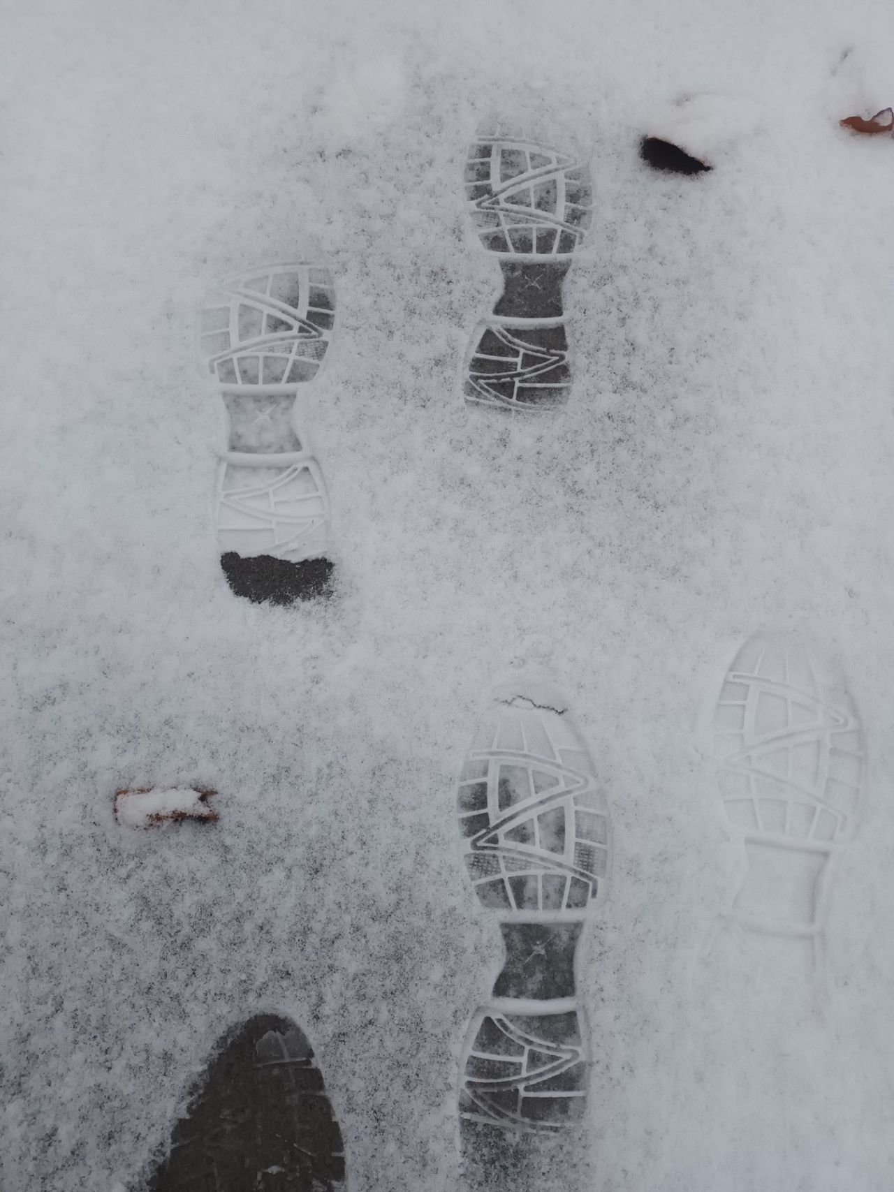 Voetstappen in de sneeuw (foto: An Roelen).