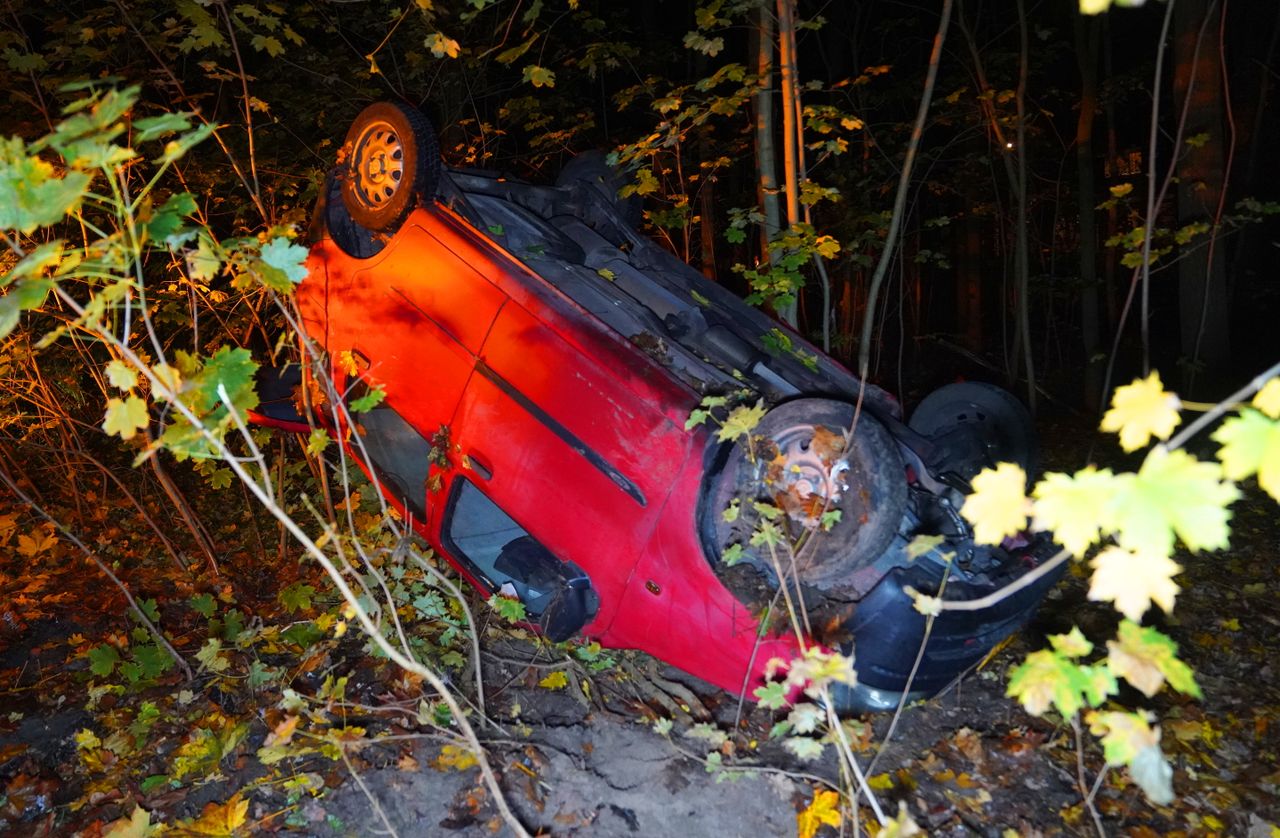 Foto: Bart Meesters/Persbureau Heitink.