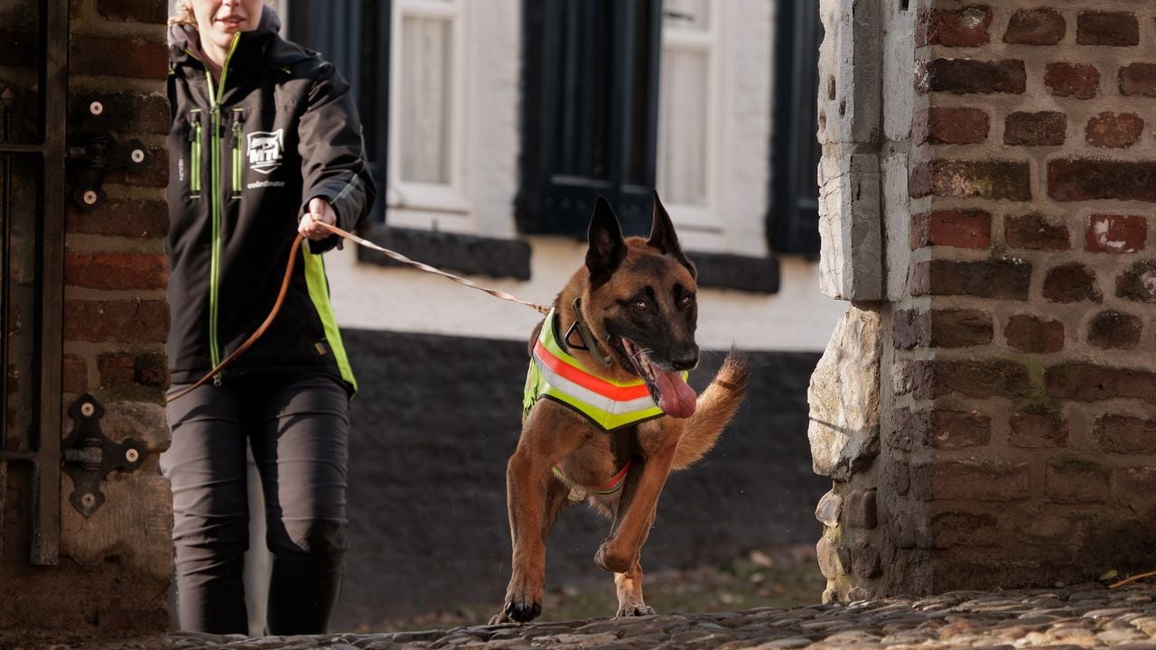 Begeleider Fleur en haar inmiddels gepensioneerde hond Kay in stedelijk gebied (foto: Studio Snuffel)