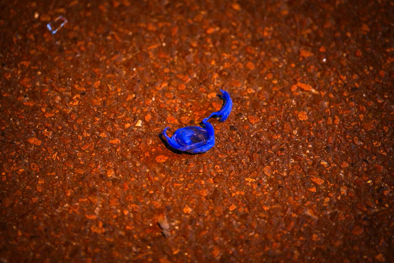 Het blauwe dopje dat werd gevonden na de knal, mogelijk afkomstig van een Cobra (foto: Persbureau Heitink).