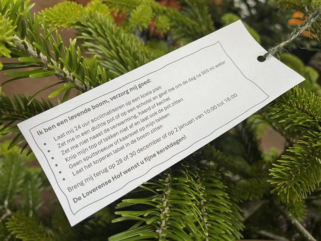 Klanten krijgen instructies mee om zo goed mogelijk voor hun boompje te zorgen. (foto: Floortje Steigenga)