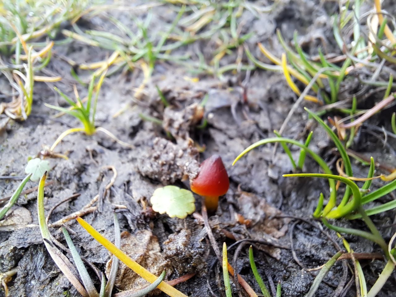 Foto: Chantal Tijbosch