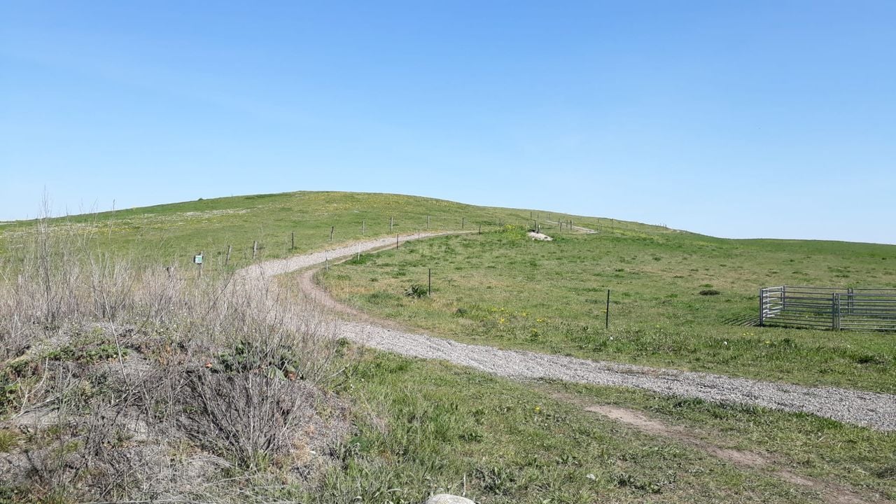 Een van de huidige paden op de Vlagheideberg.