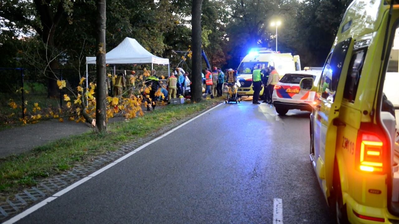 Langs de Heitrak staan dikke bomen vlak langs de weg. 