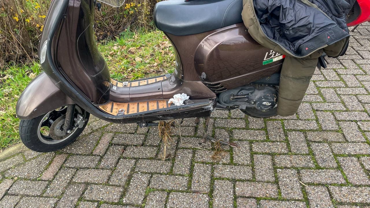 Foto: Harrie Grijseels / Persbureau Heitink